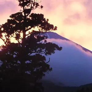 4* Ryokan (tradycyjny japoński pensjonat lub zajazd) Hananoyado Fukuya